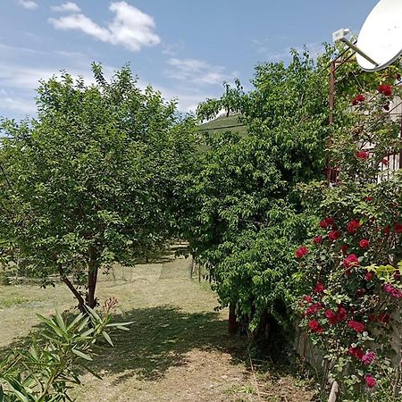 Apartment Natali Kastel Stari ภายนอก รูปภาพ